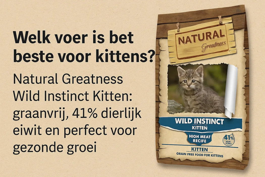 welk voer is het beste voor kittens