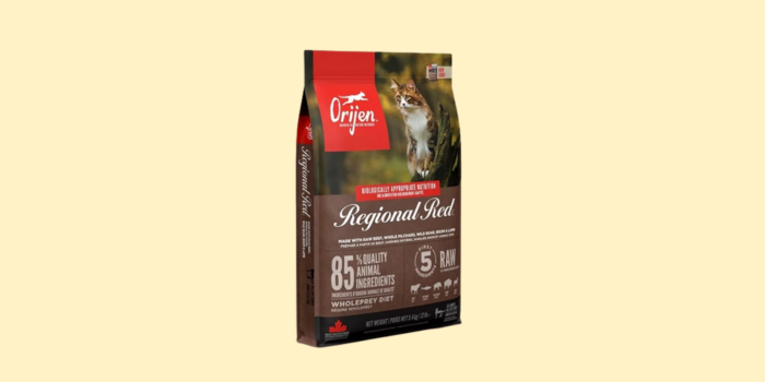Beste kattenvoer: dit is waarom wij maar één echte topkeuze hebben
