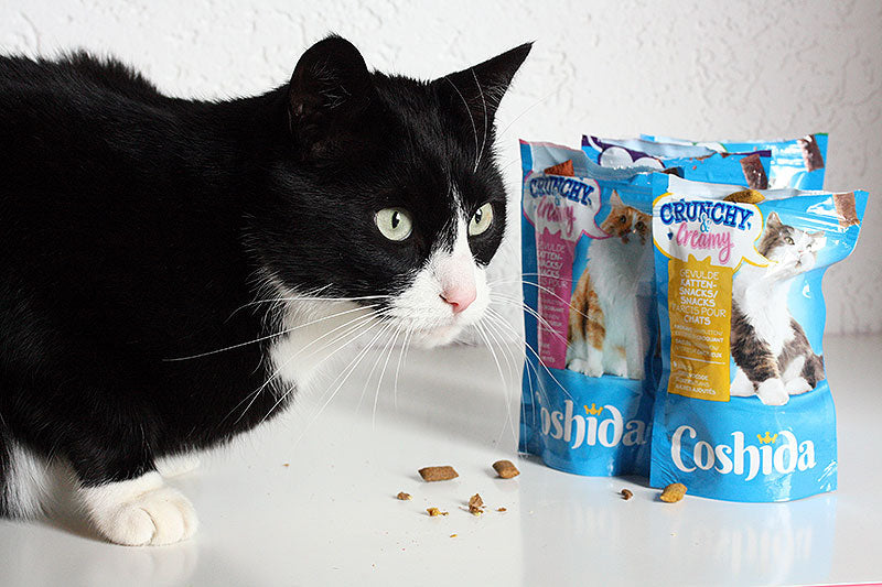 Coshida kattenvoer