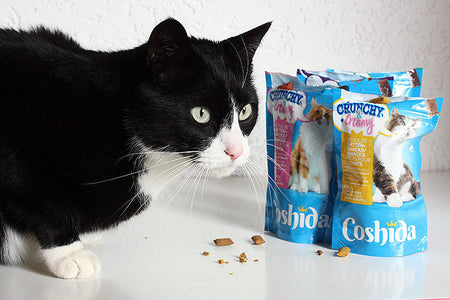 Coshida kattenvoer