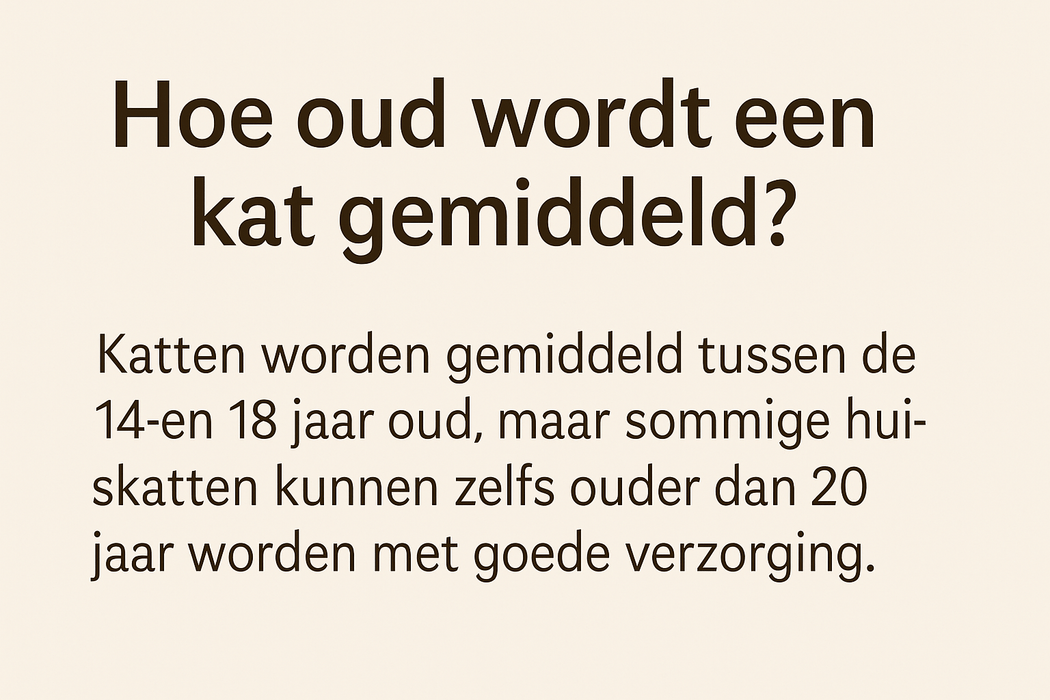 Hoe oud wordt een kat?