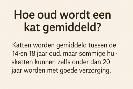 Hoe oud wordt een kat?