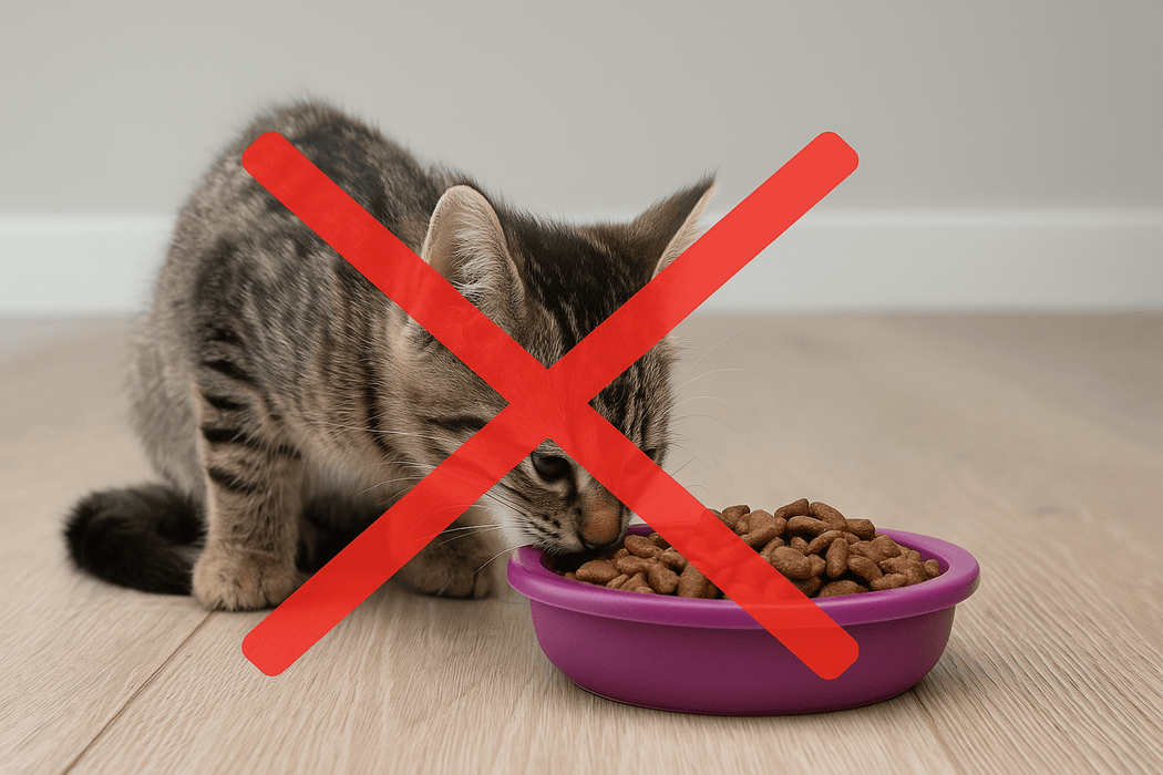 Hoeveel Whiskas heeft een kitten per dag nodig?