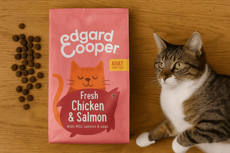Wat is een goed alternatief voor Royal Canin kattenvoer?