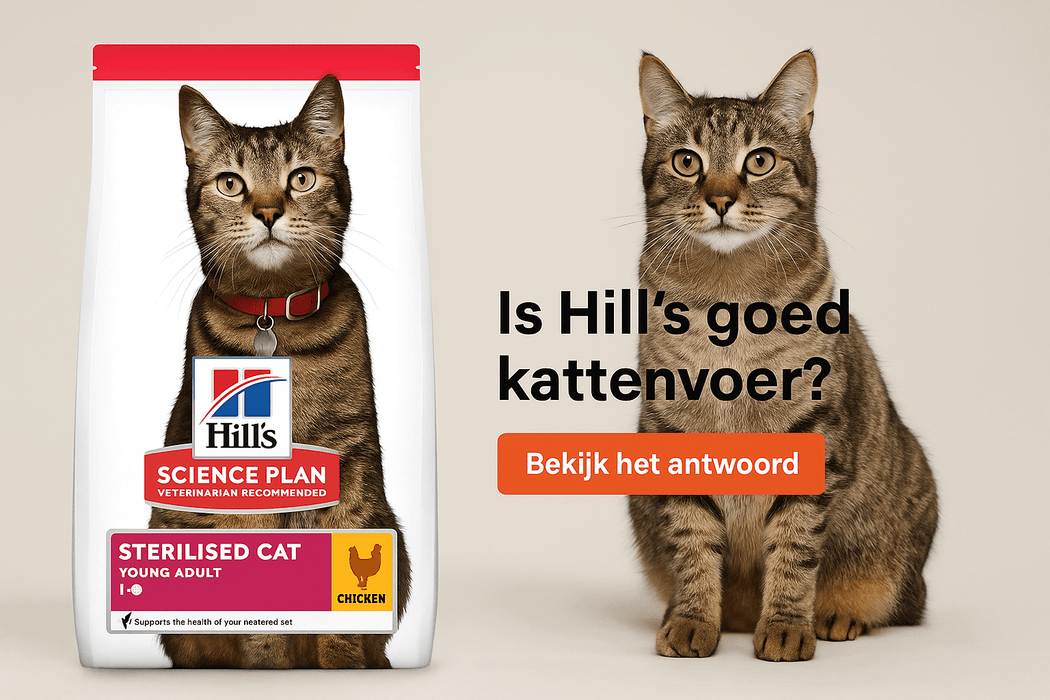 Hills of Royal Canin kat