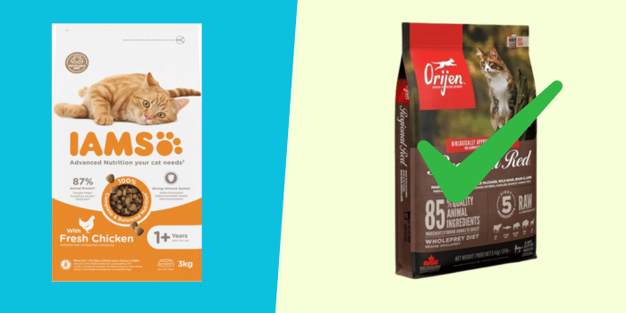 is iams goed kattenvoer