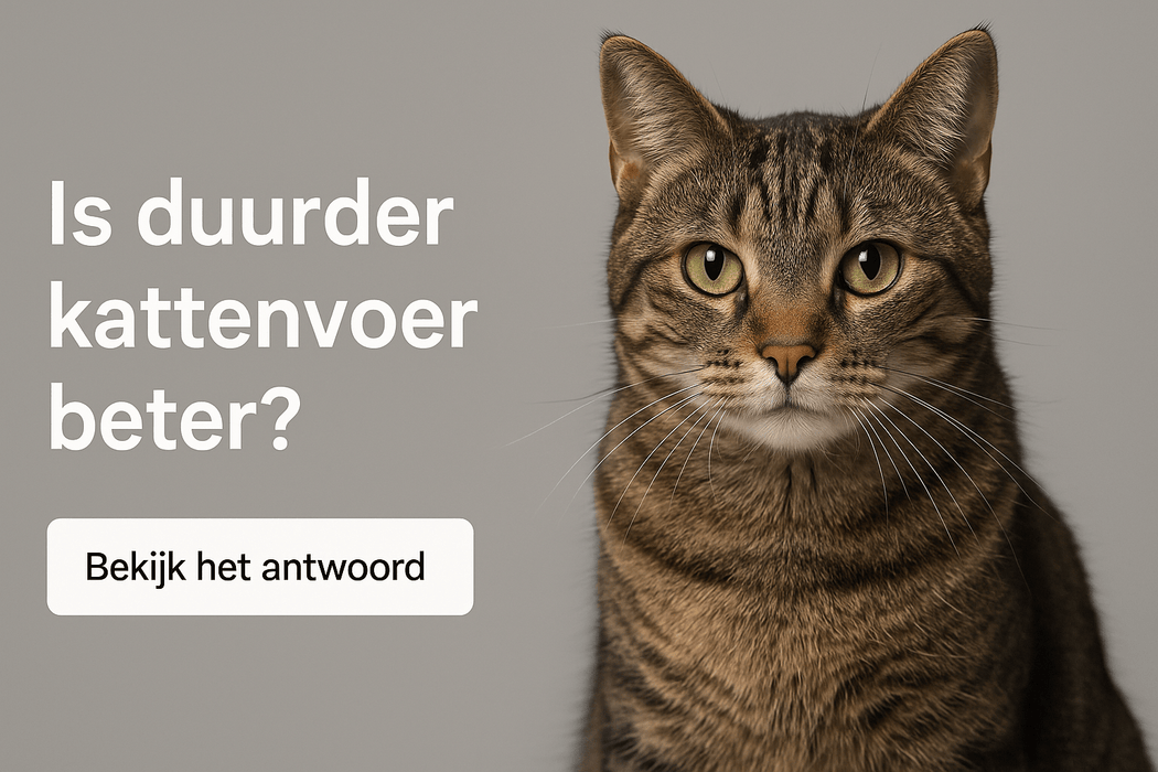 Is duurder kattenvoer beter?