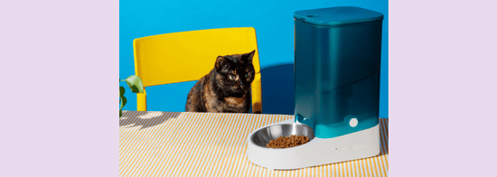 Hoe wordt kattenvoer gemaakt?