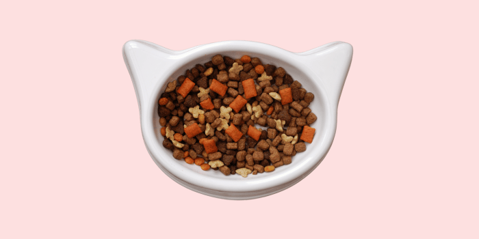 Is keramiek beter dan plastic voor katten?
