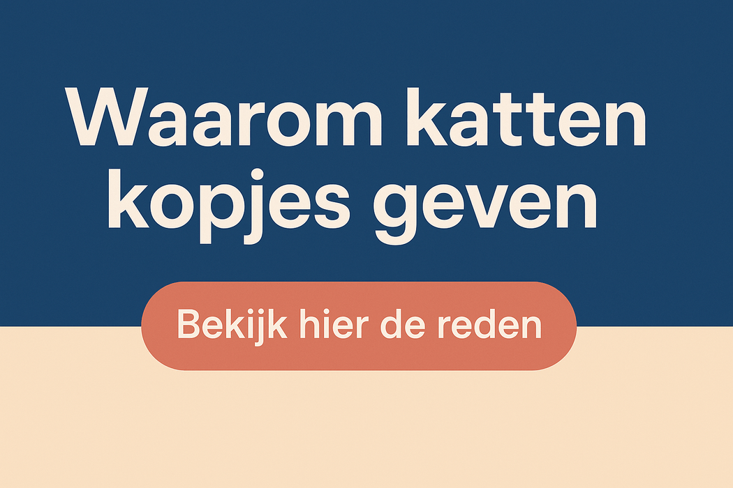 waarom katten kopjes geven