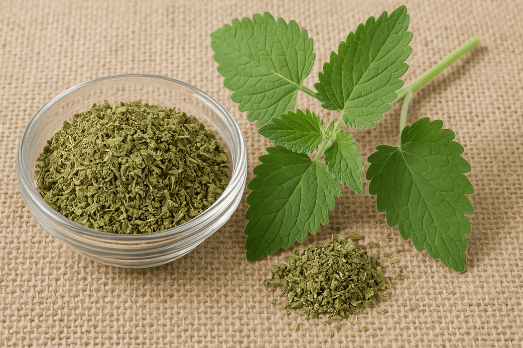 Wat doet catnip met een mens?