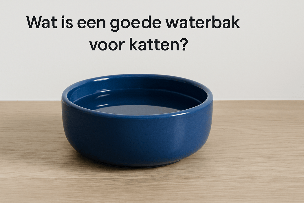 Wat is een goede waterbak voor katten?