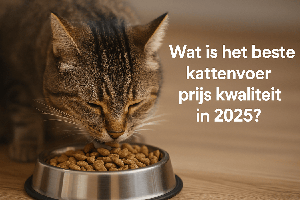 Wat is het beste kattenvoer prijs kwaliteit in 2025?