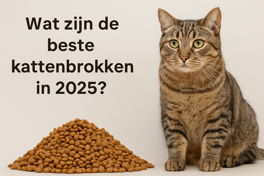 Wat zijn de beste kattenbrokken in 2025?