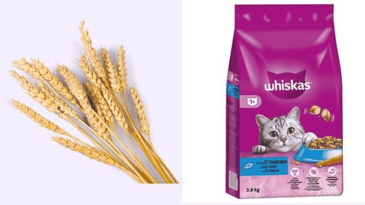 Wat zijn de ingrediënten van Whiskas?