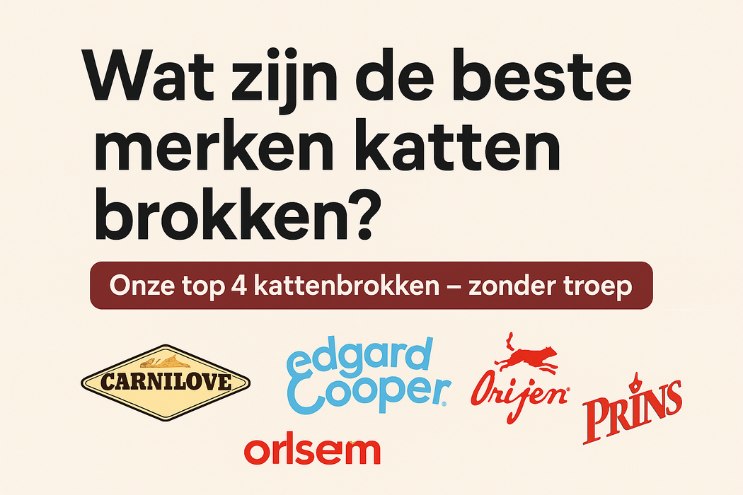 Wat zijn de beste merken kattenbrokken?