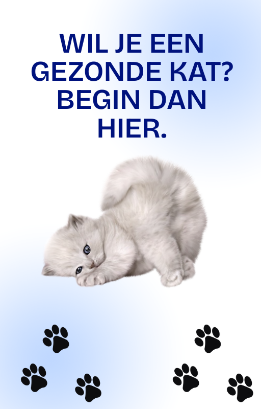 E-book Wil je een gezonde kat? Begin dan hier.