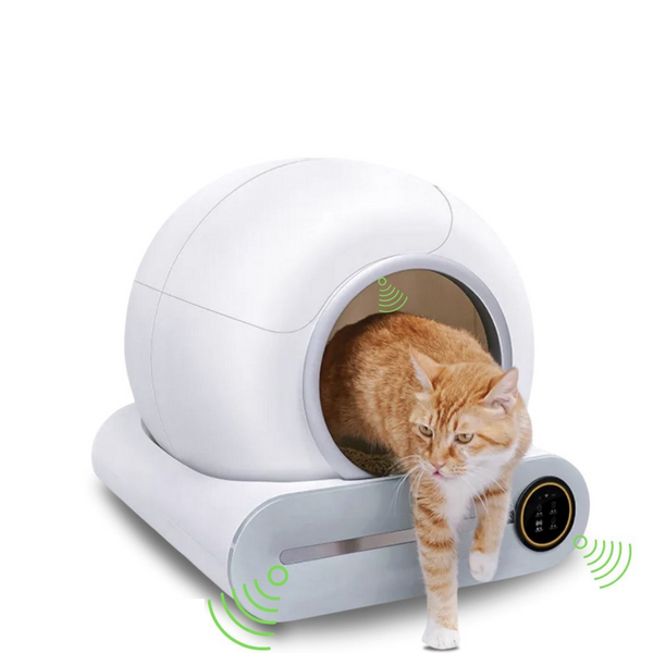 Automatisch Kattentoilet – Zelfreinigend & Hygiënisch