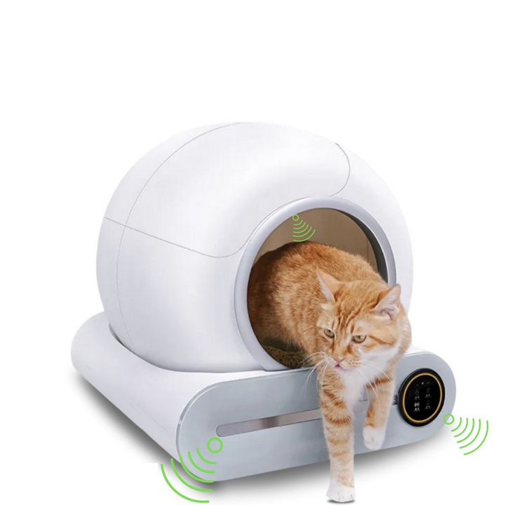 Kat uit Automatische kattenbak 